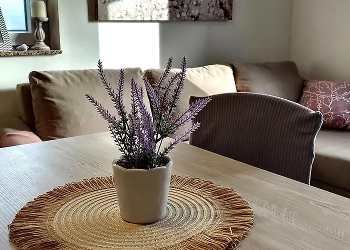 Appartement Morini