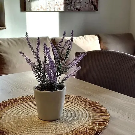 Apartment Morini